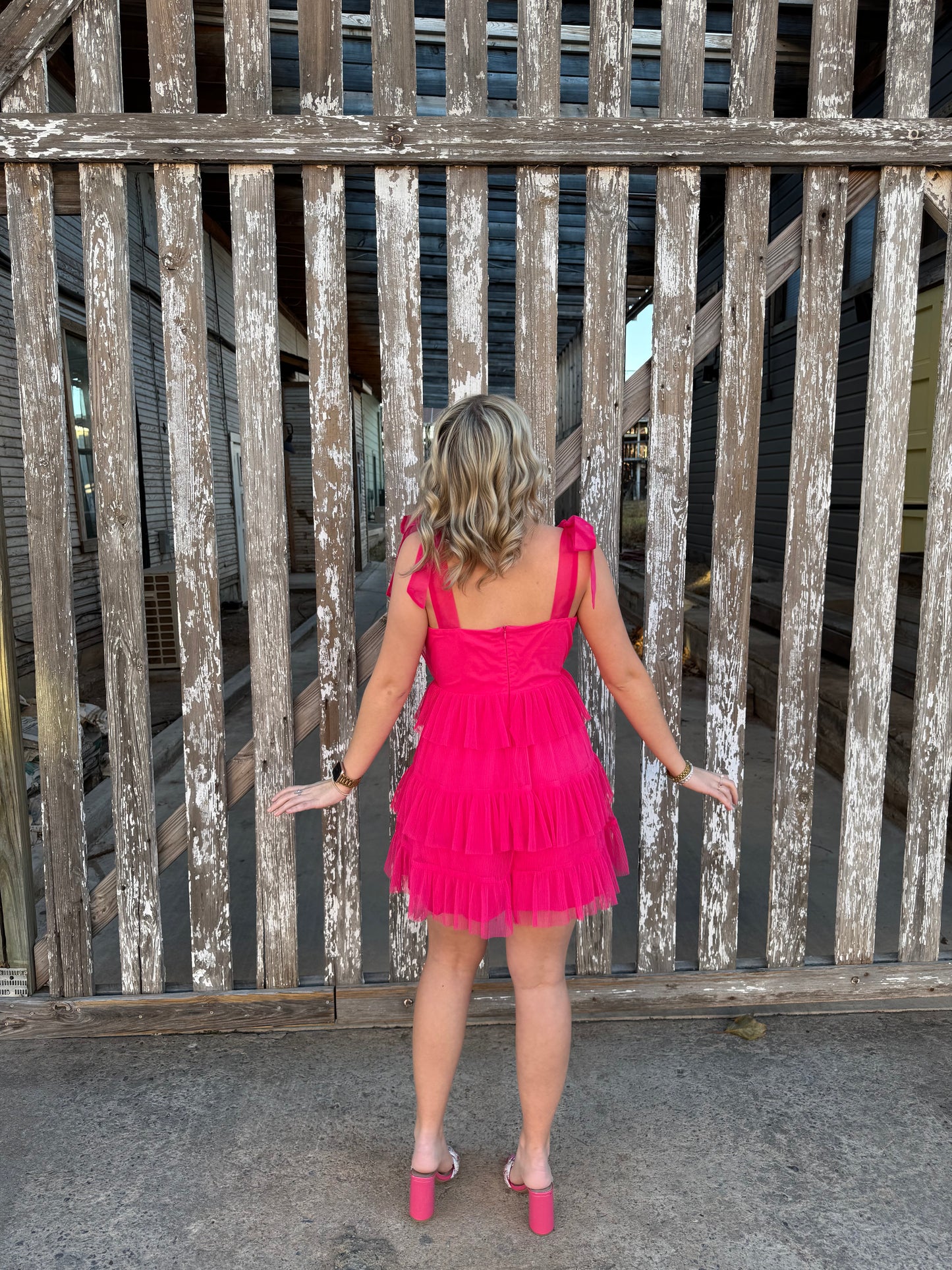 The Little Pink Dress